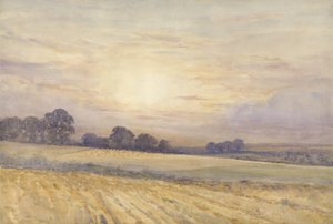 Landscape at Sunset